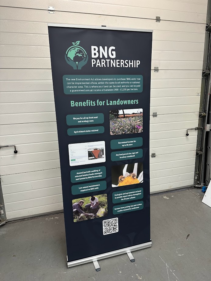 Roller Banners - Image 5